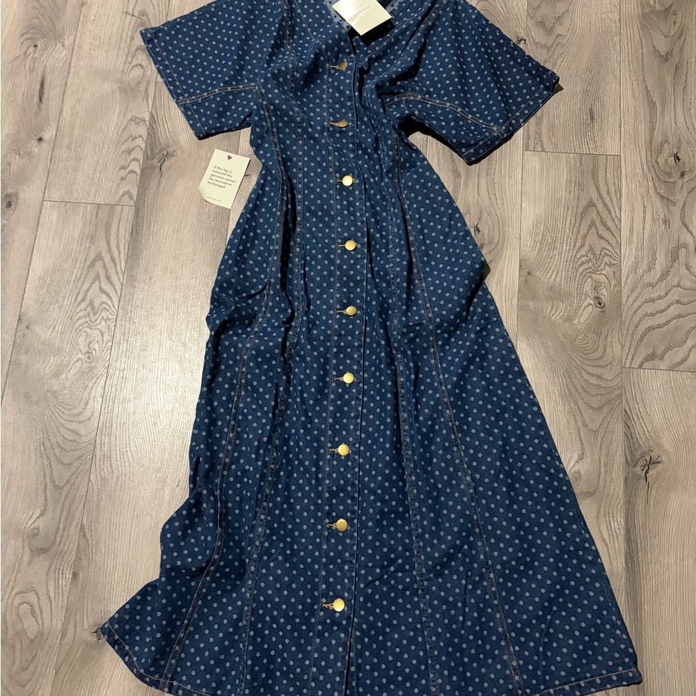Bohme denim Polka Dot Maxi Dress